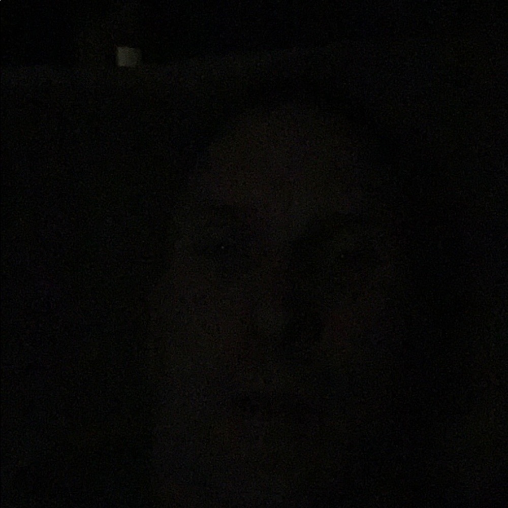 Meet your Posher, Brad